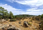 Terreny no urbanitzable en venda a la España, San Martín de Valdeiglesias, ref.: TR339737 foto