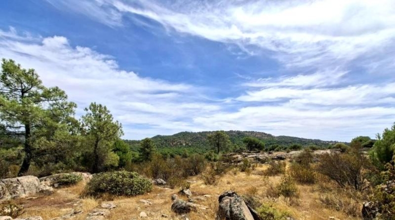 Comunidad de Madrid - San Martín de Valdeiglesias - 150000m2
