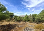 Terreny no urbanitzable en venda a la España, San Martín de Valdeiglesias, ref.: TR339737 foto