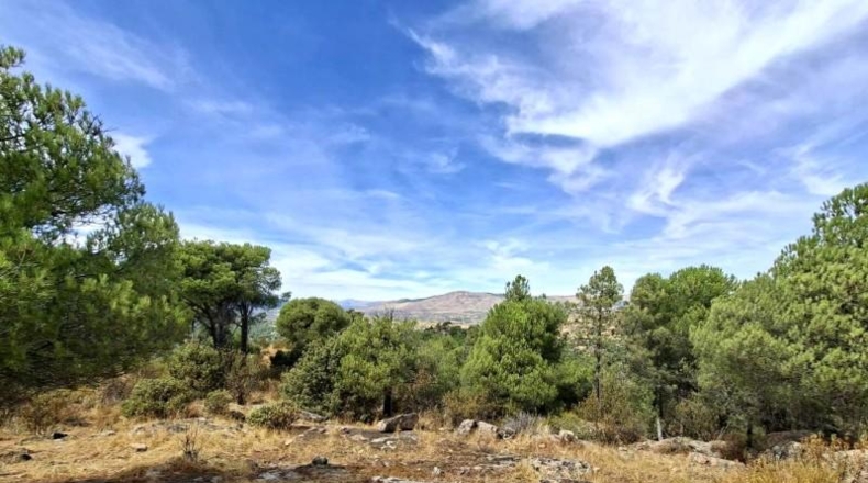 Comunidad de Madrid - San Martín de Valdeiglesias - 150000m2