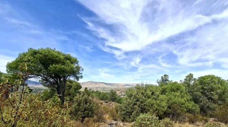 Comunidad de Madrid - San Martín de Valdeiglesias - 150000m2