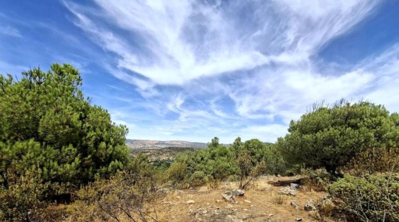 Comunidad de Madrid - San Martín de Valdeiglesias - 150000m2