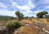 Terreny no urbanitzable en venda a la España, San Martín de Valdeiglesias, ref.: TR339737 foto