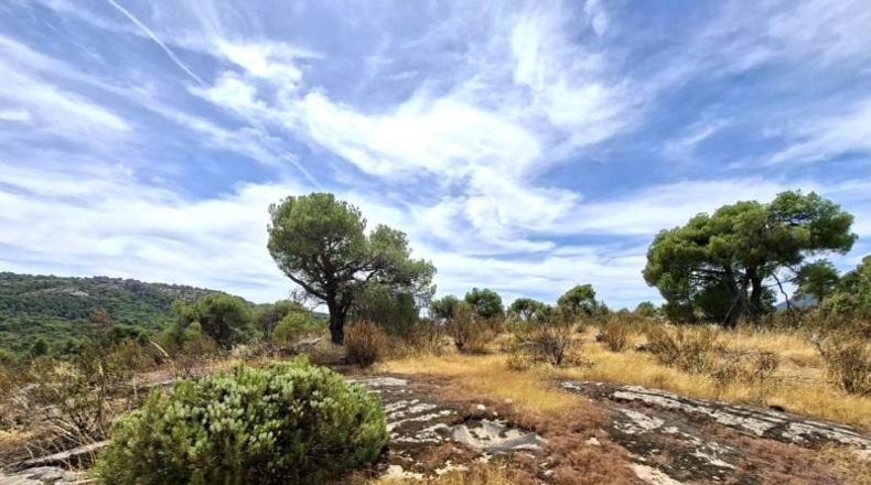 Comunidad de Madrid - San Martín de Valdeiglesias - 150000m2