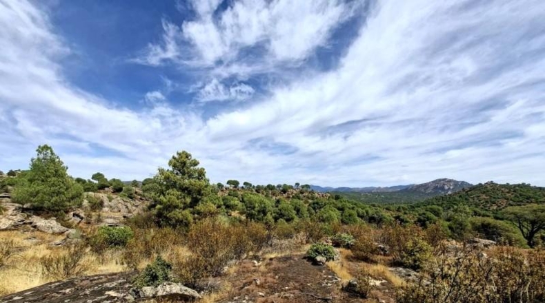 Comunidad de Madrid - San Martín de Valdeiglesias - 150000m2