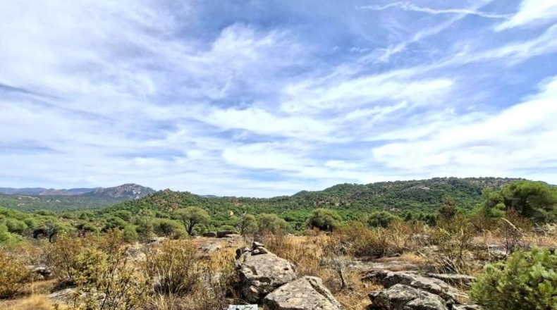 Comunidad de Madrid - San Martín de Valdeiglesias - 150000m2