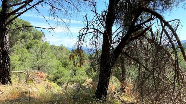 Comunidad de Madrid - San Martín de Valdeiglesias - 150000m2