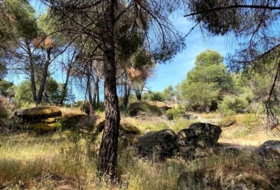 Foto 15