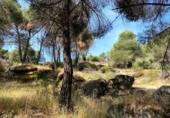 Terreny no urbanitzable en venda a la España, San Martín de Valdeiglesias, ref.: TR339737 foto