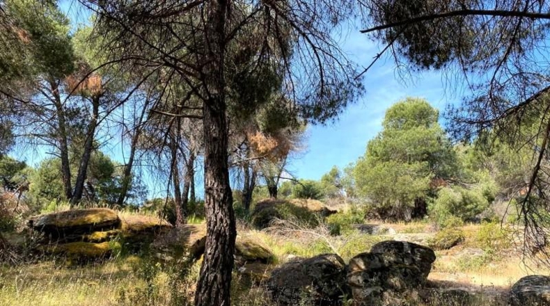 Comunidad de Madrid - San Martín de Valdeiglesias - 150000m2