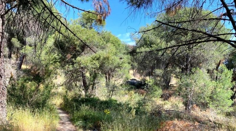 Comunidad de Madrid - San Martín de Valdeiglesias - 150000m2