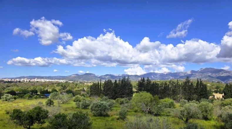 Balearic Islands - Инка - 13960m2