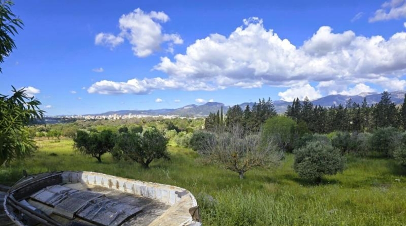 Balearic Islands - Инка - 13960m2