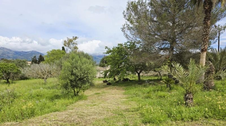 Balearic Islands - Инка - 13960m2