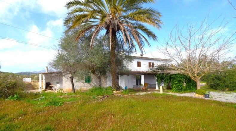 Illes Balears - Pollensa - 14556m2