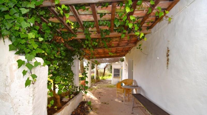 Illes Balears - Pollensa - 14556m2