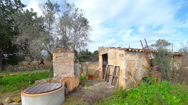 Illes Balears - Pollensa - 14556m2