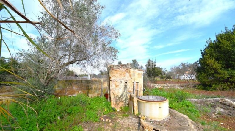 Illes Balears - Pollensa - 14556m2