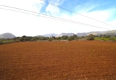 Xalet independent amb terreny en venda a la España, Port de Pollença, ref.: TR379526 foto