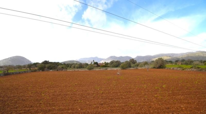 Illes Balears - Pollensa - 14556m2