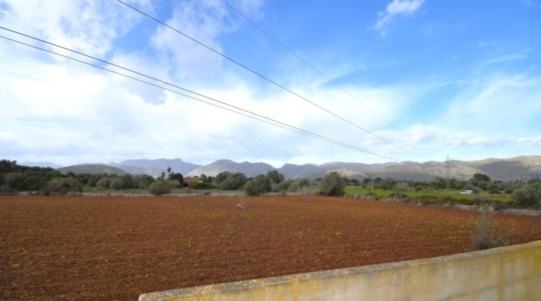 Illes Balears - Pollensa - 14556m2