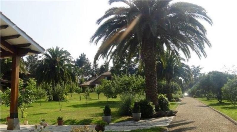 Asturias - Gijón - 12000m2