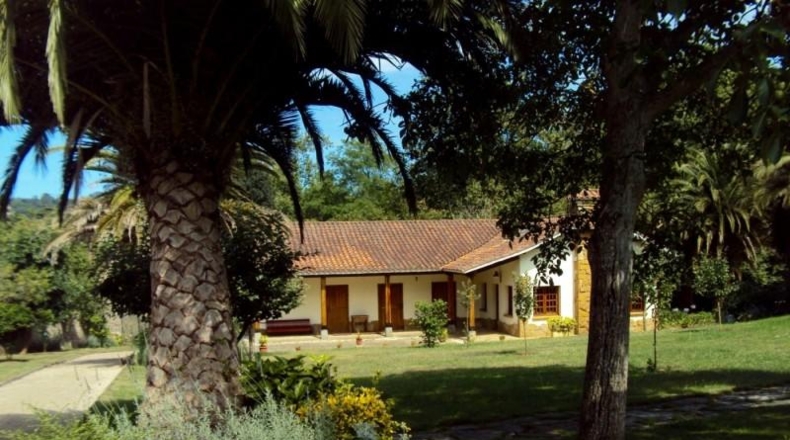 Asturias - Gijón - 12000m2