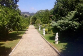 Foto 19