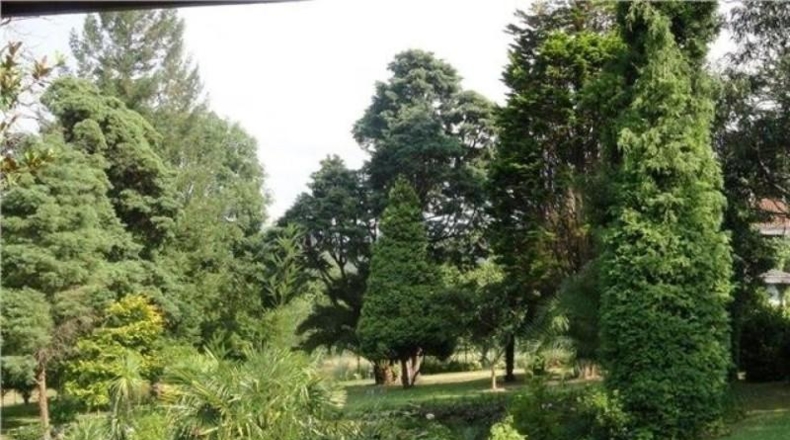 Asturias - Gijón - 12000m2