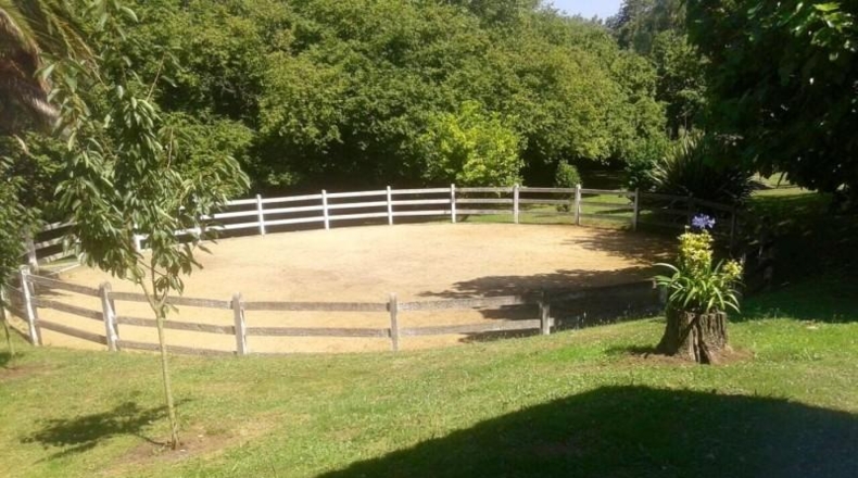 Asturias - Gijón - 12000m2