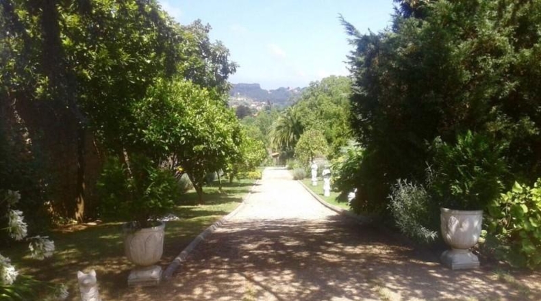 Asturias - Gijón - 12000m2