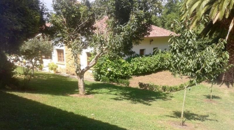 Asturias - Gijón - 12000m2