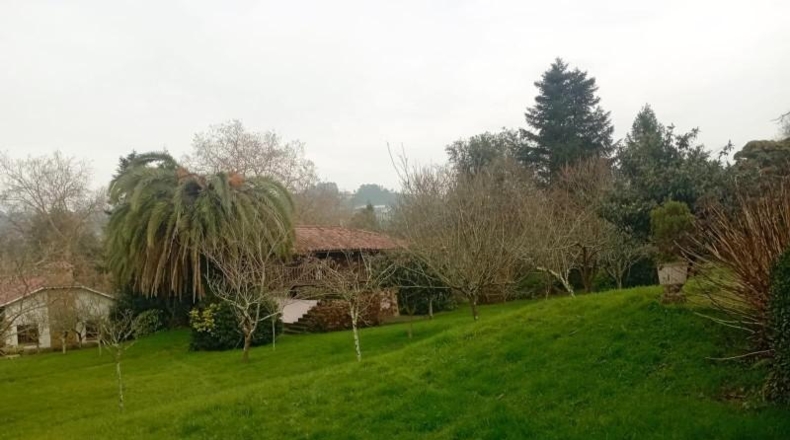 Asturias - Gijón - 12000m2