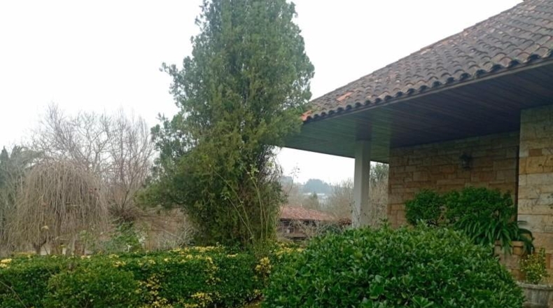 Asturias - Gijón - 12000m2