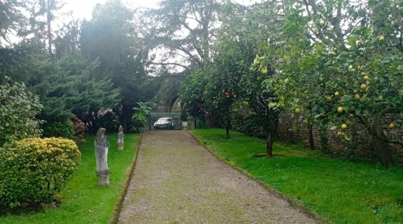 Asturias - Gijón - 12000m2