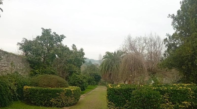 Asturias - Gijón - 12000m2