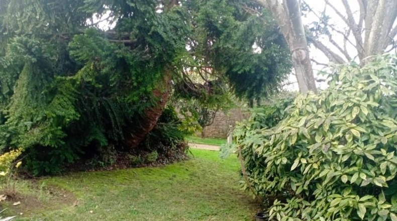 Asturias - Gijón - 12000m2