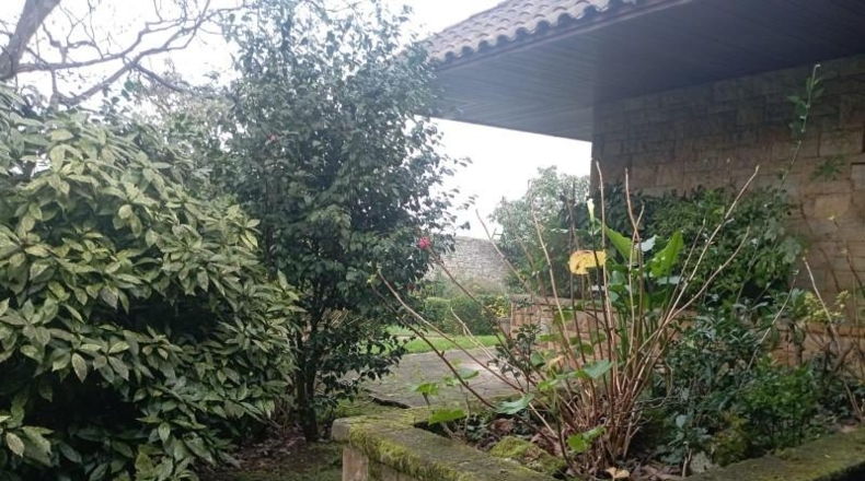 Asturias - Gijón - 12000m2