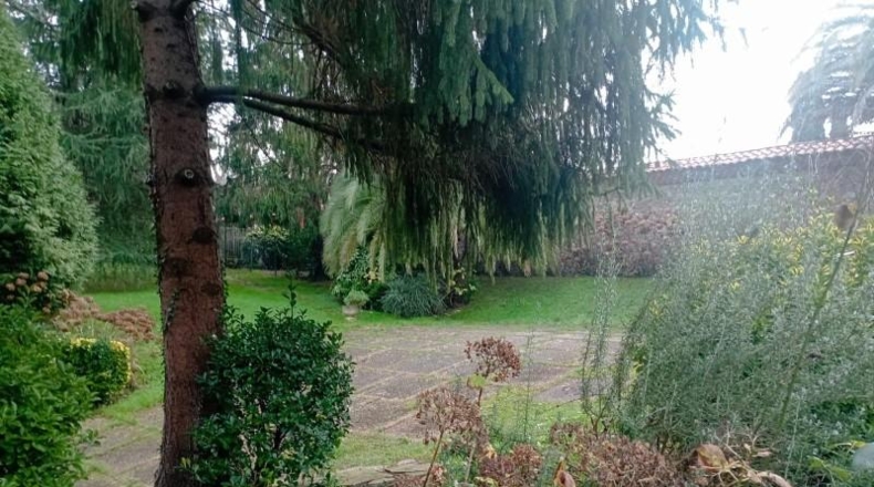 Asturias - Gijón - 12000m2