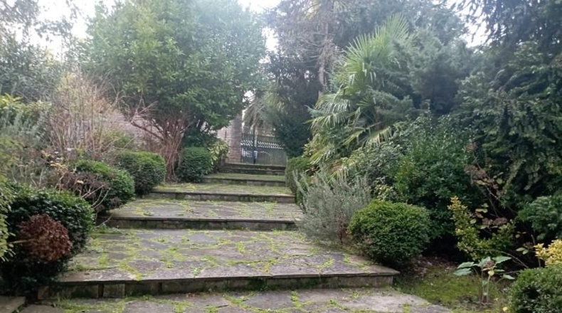 Asturias - Gijón - 12000m2