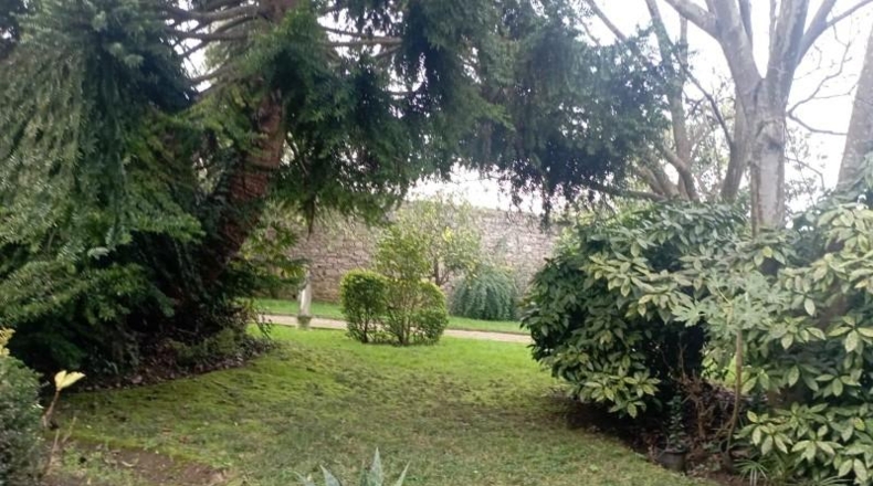 Asturias - Gijón - 12000m2