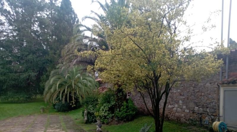 Asturias - Gijón - 12000m2