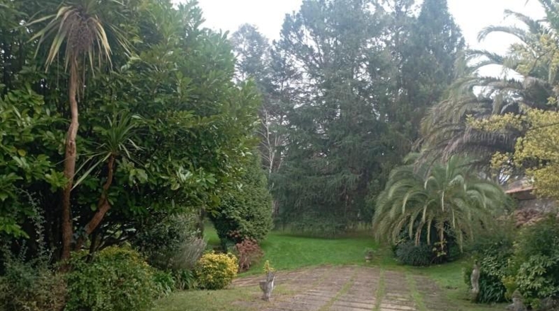 Asturias - Gijón - 12000m2