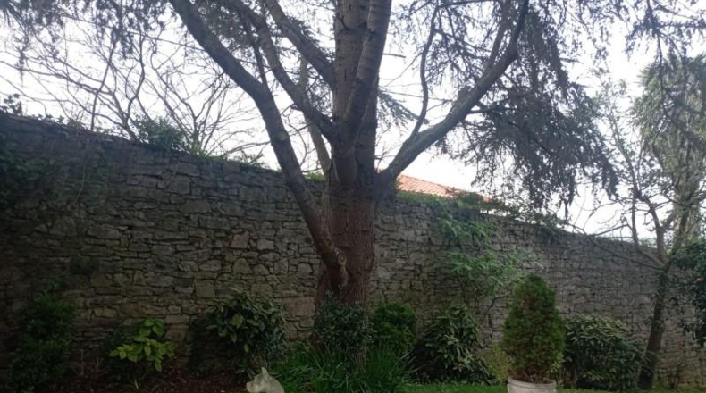 Asturias - Gijón - 12000m2