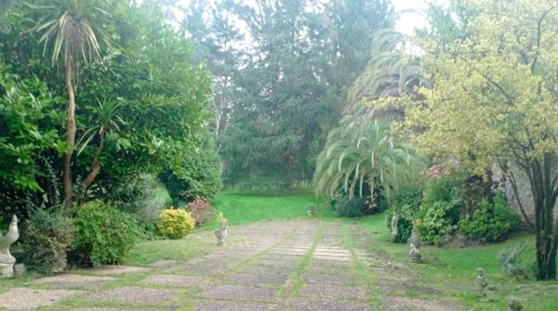 Asturias - Gijón - 12000m2