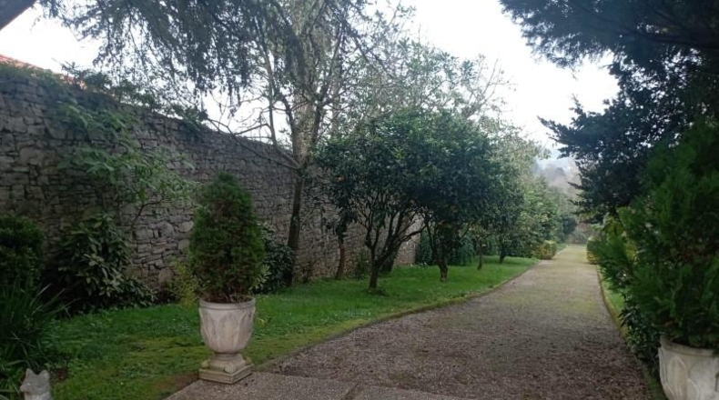 Asturias - Gijón - 12000m2