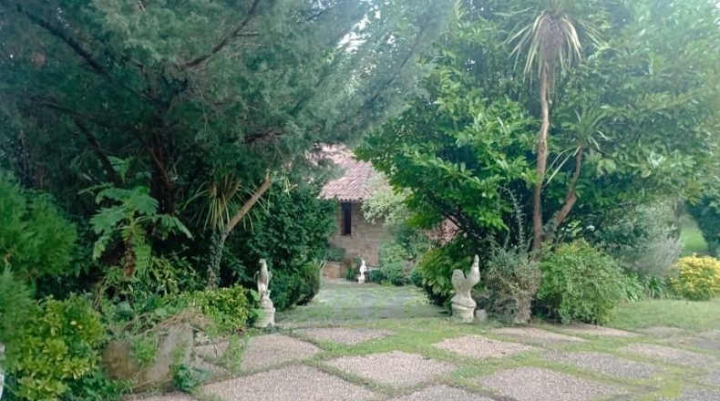 Asturias - Gijón - 12000m2