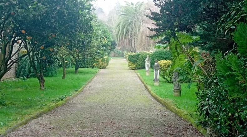 Asturias - Gijón - 12000m2