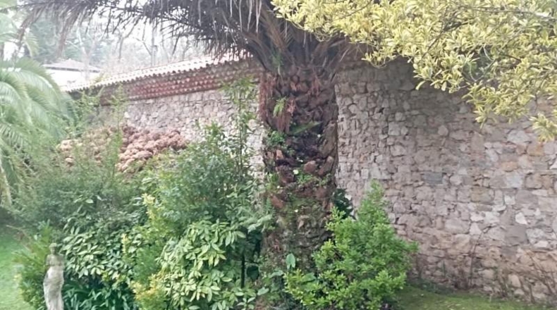 Asturias - Gijón - 12000m2