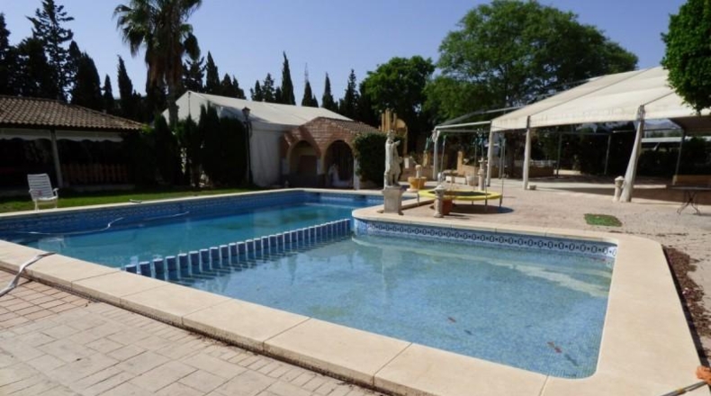 Alicante - Crevillente - 14000m2